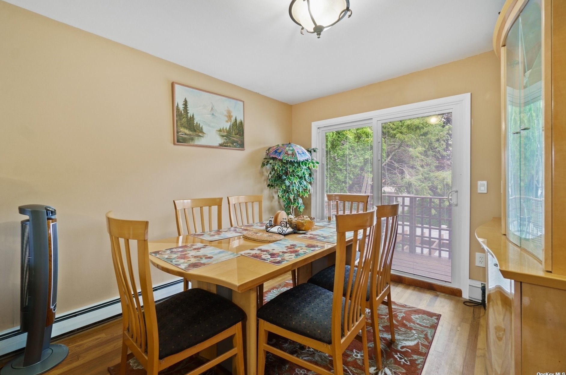 17 Lawrence Ct, Hicksville NY exterior