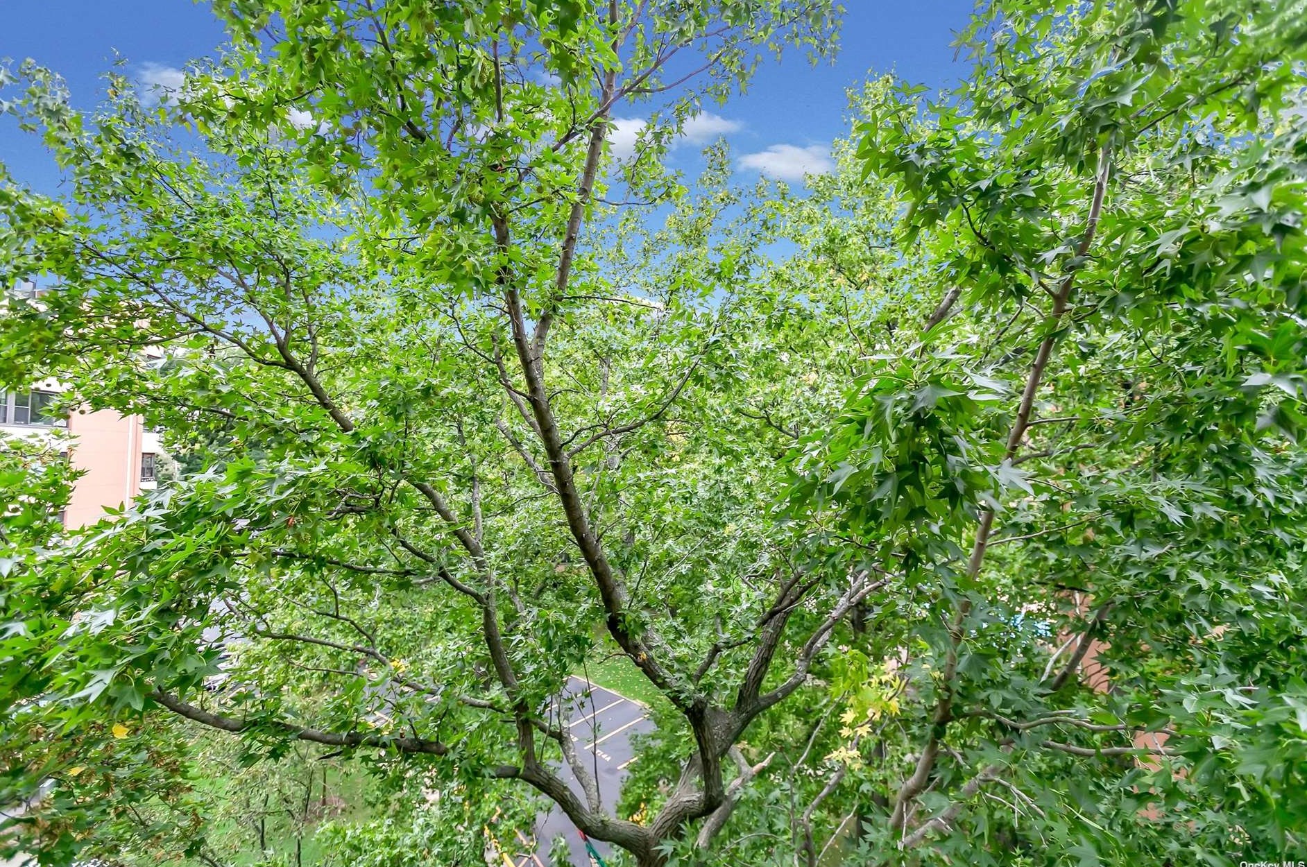 10-24 166th St, Flushing NY  exterior