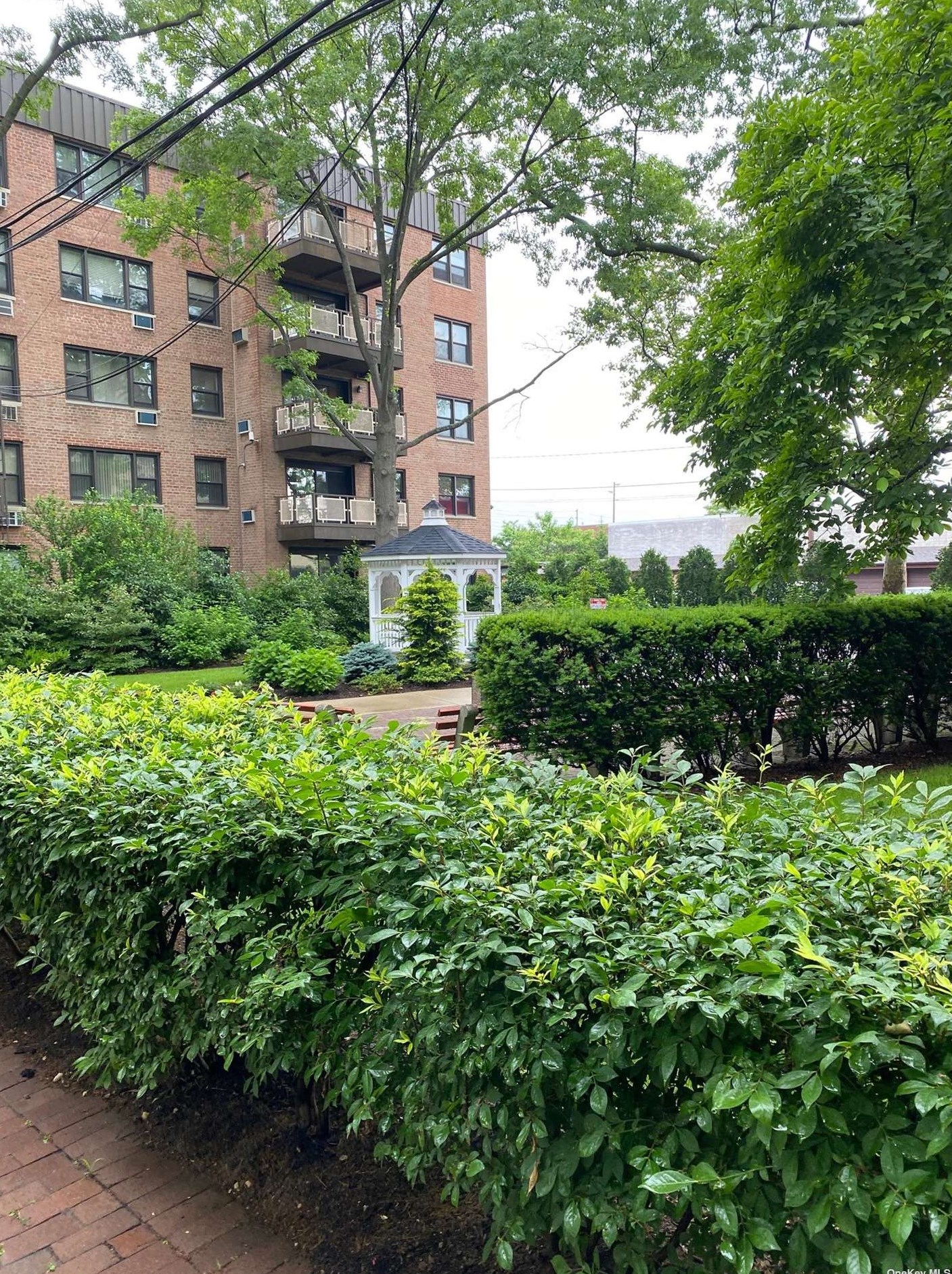 6 Birchwood Ct, Garden City NY  11501-4529 exterior