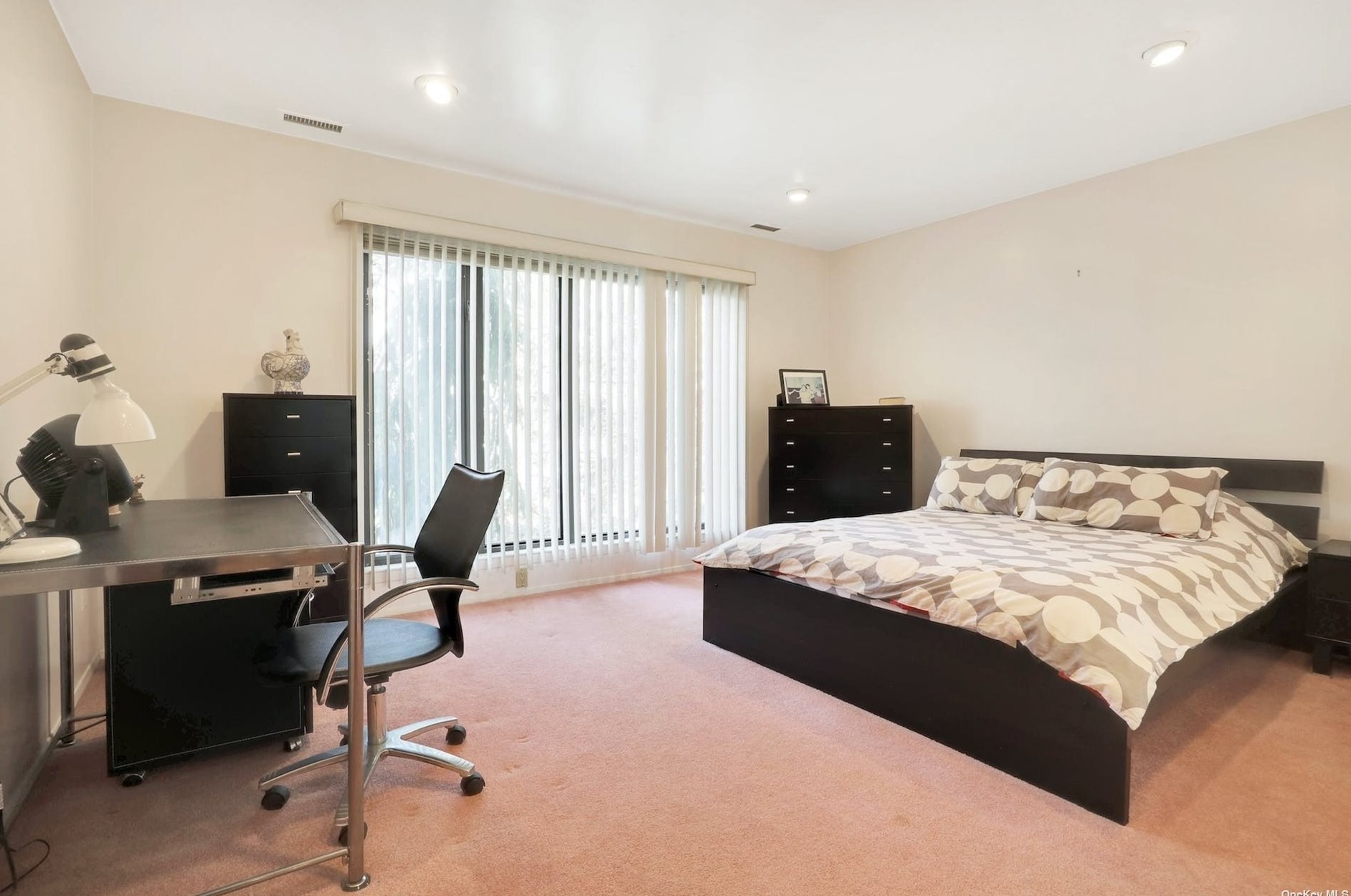 24 Princeton Dr, Syosset NY  11791-6743 exterior