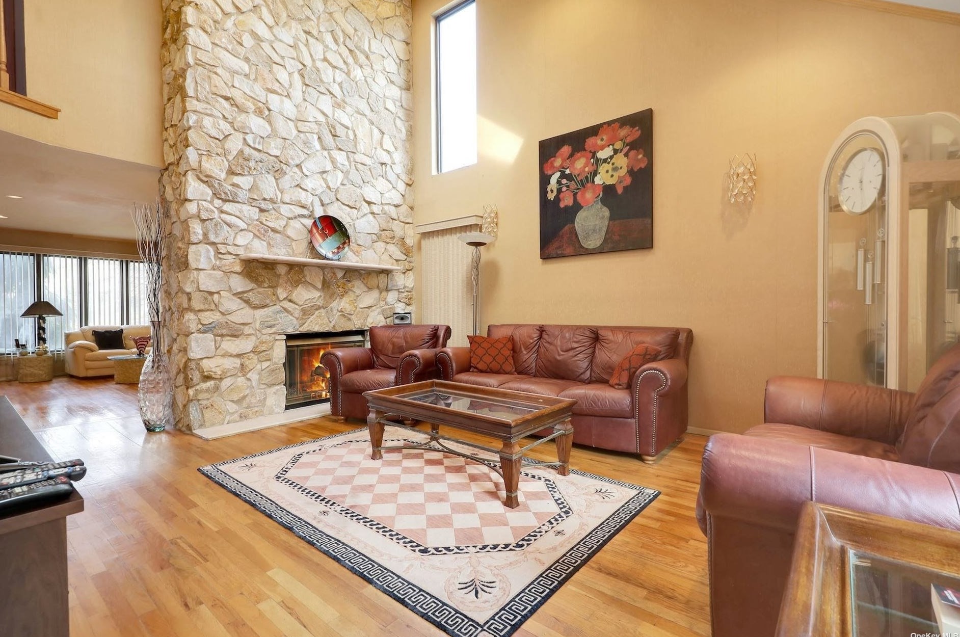 24 Princeton Dr, Syosset NY  11791-6743 exterior