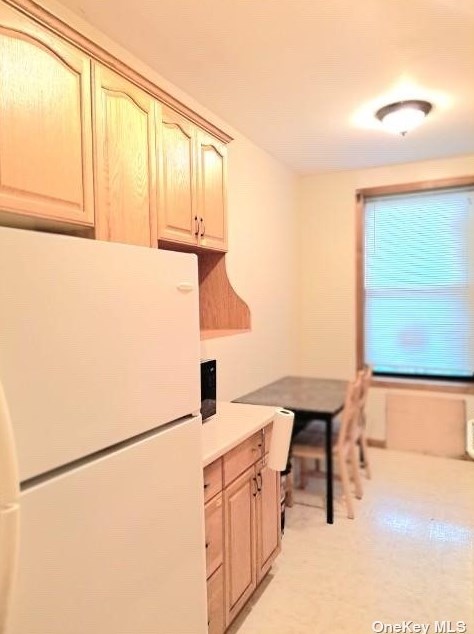 155 Lott St, Brooklyn NY 11226-4092 exterior