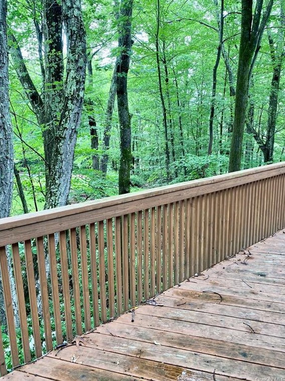 42 Aldow St, Wurtsboro NY  12790-5805 exterior