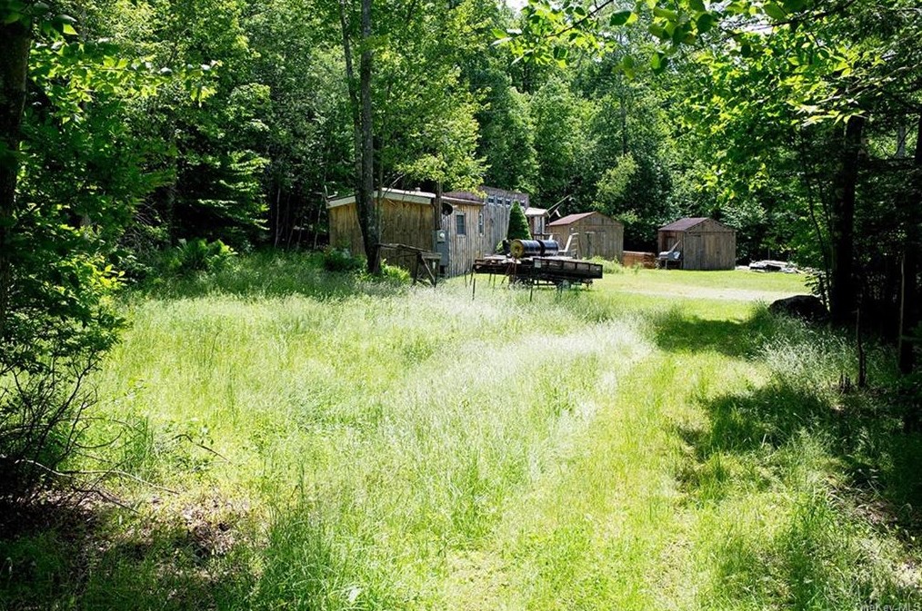 43 Indian Lake Rd, Ferndale NY  12734-4106 exterior