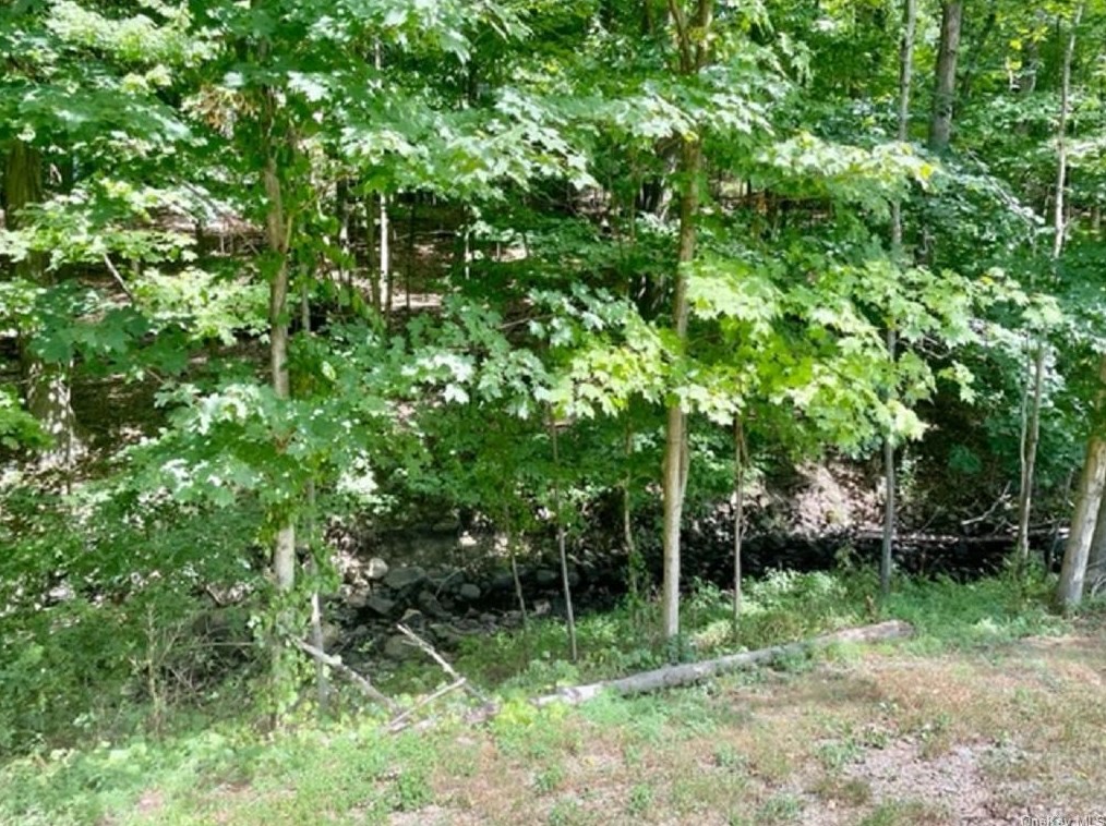 19 Barnett Dr, Monroe NY  10950-3918 exterior