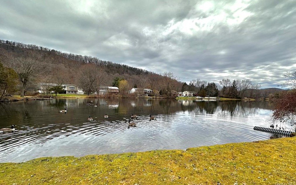 31 Merriewold Ln, Monroe NY  10950-1914 exterior