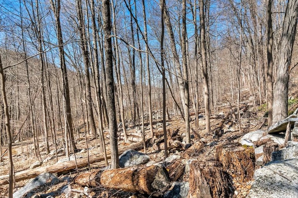 60 Boyds Rd, Kent Lakes NY  10512-4107 exterior