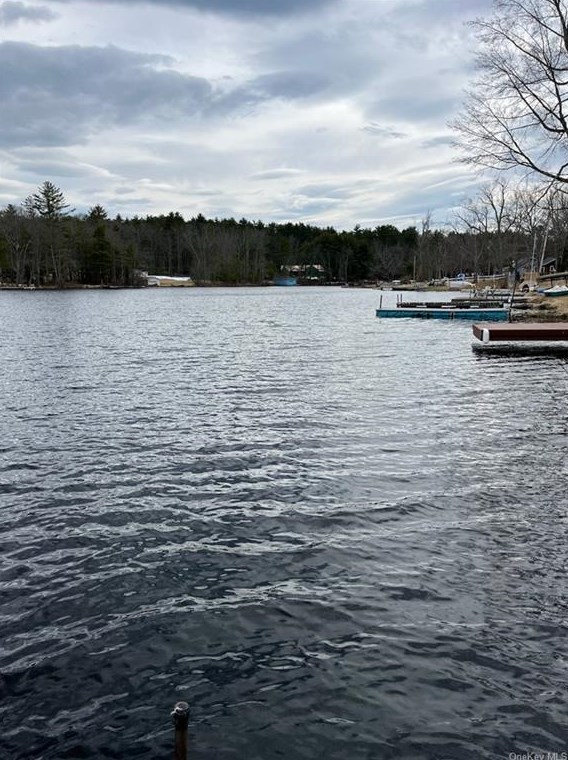 51 Mohican Trl, Glen Spey NY  12737-5915 exterior