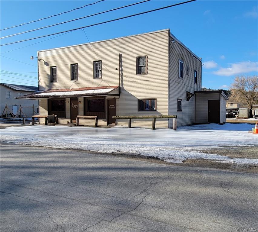 48 Cochecton Rd, Cochecton Center, NY 12726 MLS H6167452 Coldwell