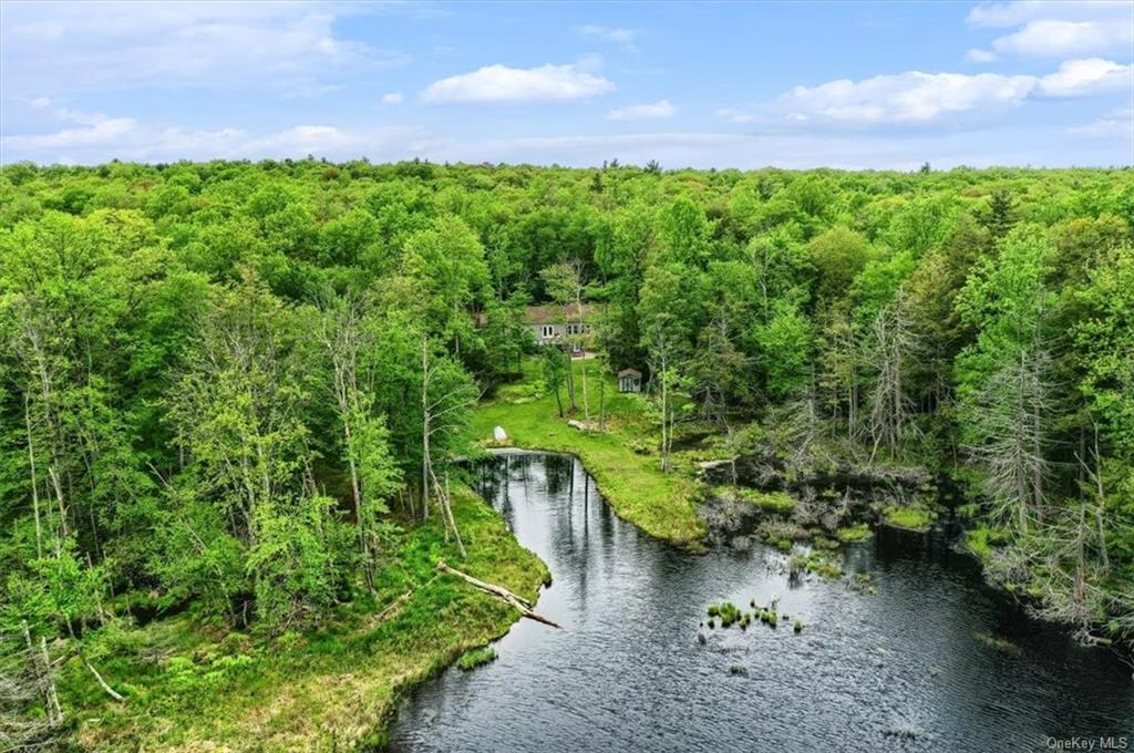 114 Pine Lake Dr, Wurtsboro, NY 12790 MLS H6185558 Coldwell Banker