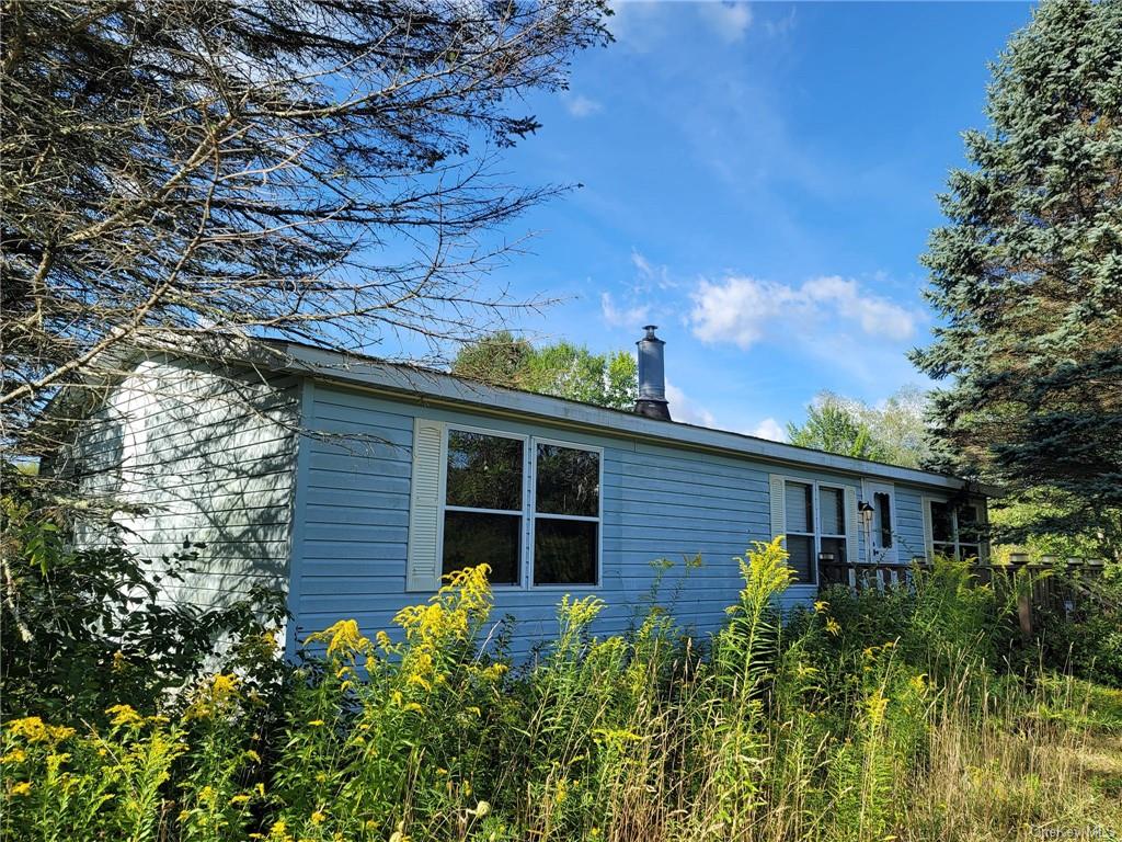 982 Briscoe Rd, Swan Lake, NY 12783 MLS H6208124 Coldwell Banker
