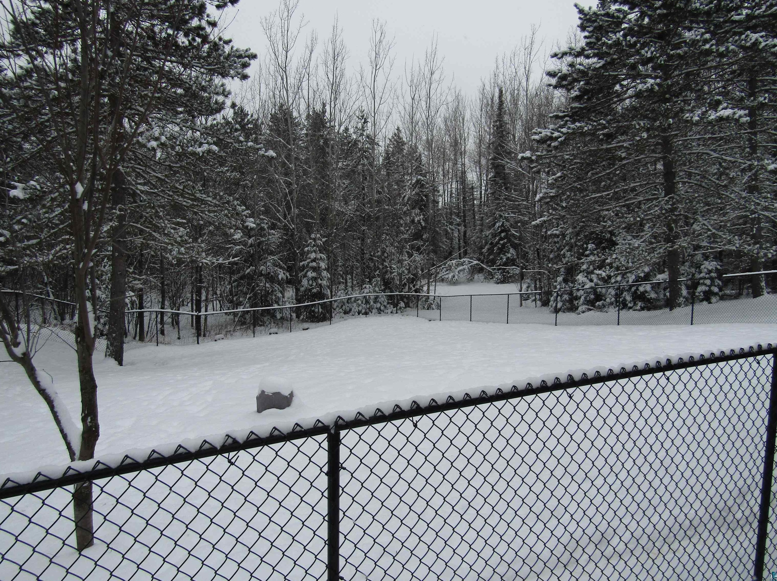 1543 Hwy 1, Ely MN 55731-8211 exterior