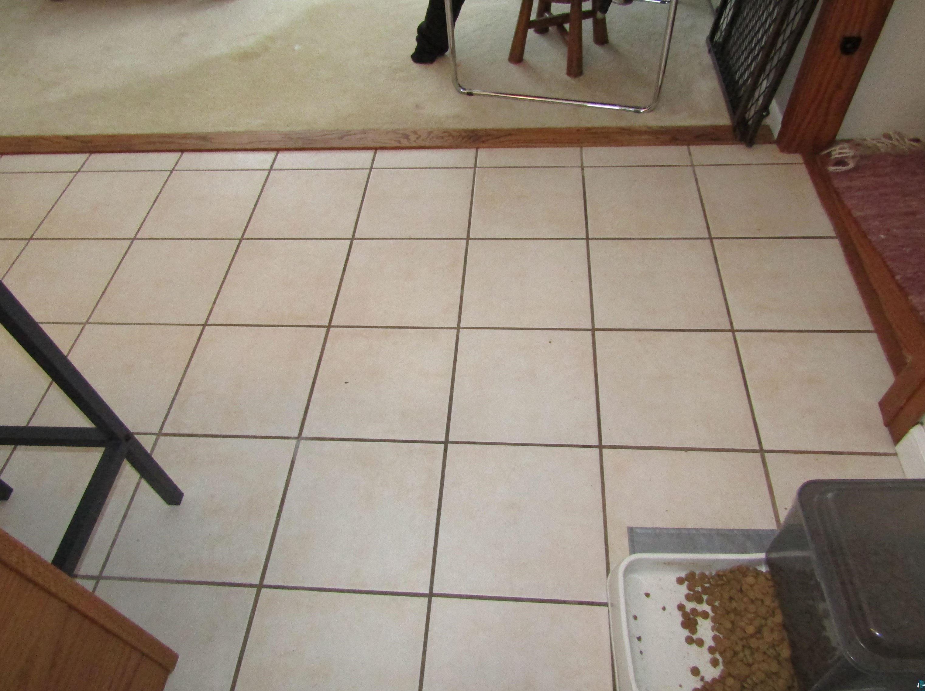 1543 Hwy 1, Ely MN 55731-8211 exterior