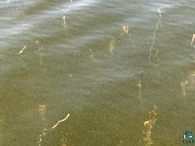 4669 Indian Pt Rd, Orr MN 55771-8218 exterior