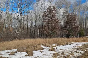 Lot 4 Fire Hill Estates, Gordon, WI 54873 - Photo 1