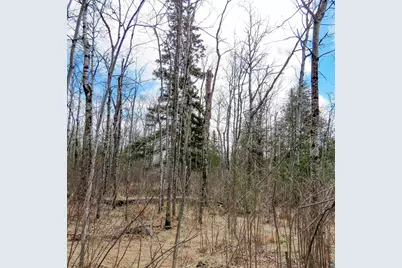 X48 Hansen-Hjemsted Rd, Lutsen, MN 55612 - Photo 1