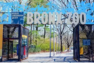 2255 Bathgate Ave, New York City, NY 10457 - Photo 13