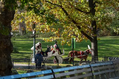 750 Park Avenue #3B, New York City, NY 10021 - Photo 21