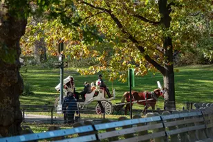 750 Park Ave, New York City, NY 10021 - Photo 21