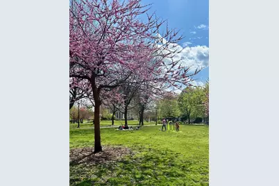 299 E 161st Street #504, New York City, NY 10451 - Photo 11