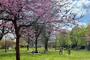 299 E 161st St, New York City, NY 10451 - Photo 11