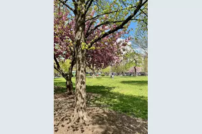 299 E 161st Street #504, New York City, NY 10451 - Photo 7