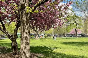 299 E 161st St, New York City, NY 10451 - Photo 7