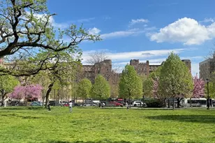 299 E 161st St, New York City, NY 10451 - Photo 9