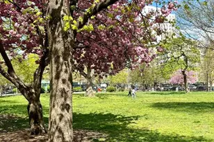 299 E 161st St, New York City, NY 10451 - Photo 9