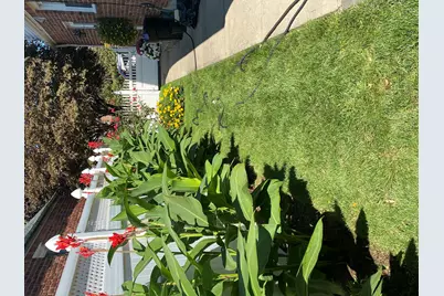 233-16 87th Avenue, New York City, NY 11427 - Photo 23