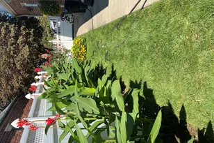 233-16 87th Ave, New York City, NY 11427 - Photo 23