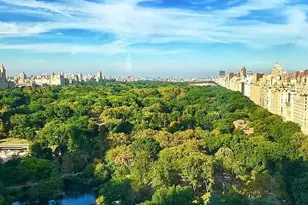 1 Central Park S, New York City, NY 10019 - Photo 9