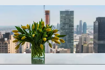 432 Park Avenue #48A, New York City, NY 10022 - Photo 7