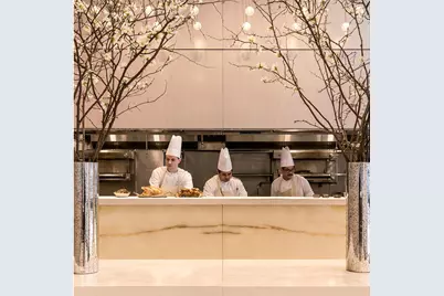 432 Park Avenue #48A, New York City, NY 10022 - Photo 41