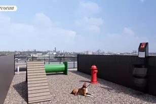 428 E 9th St, New York City, NY 11218 - Photo 23