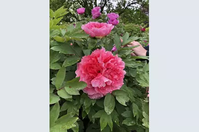 2385 Barker Avenue #5-L, Bronx, NY 10467 - Photo 15