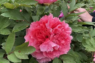 2385 Barker Ave, Bronx, NY 10467 - Photo 15