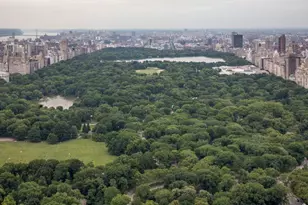 111 W 57th St, New York City, NY 10019 - Photo 13