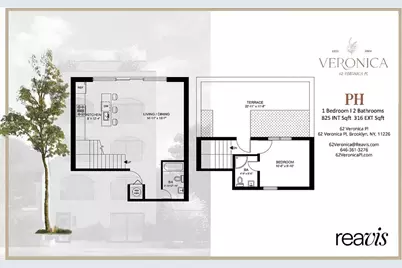 62 Veronica Place #PH, New York City, NY 11226 - Photo 9