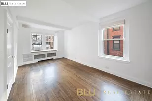 315 E 68th St, New York City, NY 10065 - Photo 5