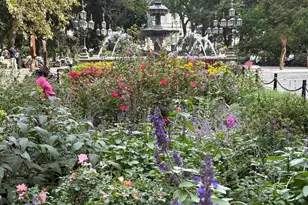 145 Nassau St, New York City, NY 10038 - Photo 19