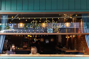 22-54 46th St, New York City, NY 11105 - Photo 39