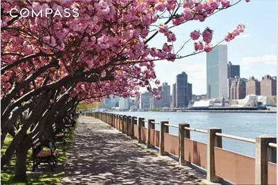 551 Main Street #208, New York City, NY 10044 - Photo 31