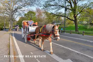 128 Central Park S, New York City, NY 10019 - Photo 11