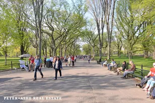 128 Central Park S, New York City, NY 10019 - Photo 13