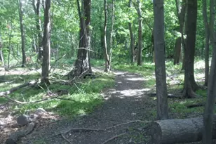 460 W 236th St, New York City, NY 10463 - Photo 37