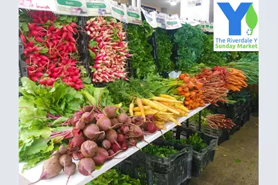 460 W 236th Street #4B, New York City, NY 10463 - Photo 37