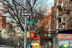 316 Pleasant Ave, New York City, NY 10035 - Photo 15