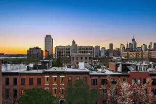 299 Hicks St, New York City, NY 11201 - Photo 49