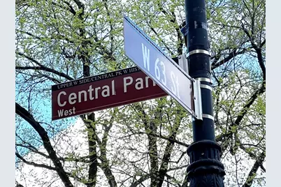 25 Central Park W #11AB, New York City, NY 10023 - Photo 41